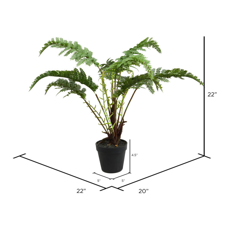 Fern 22'' Faux Fern Plant in Pot & Reviews AllModern